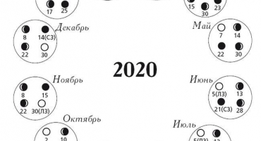 Kdy zasadit česnek podle lunárního kalendáře v roce 2022, příznivé dny